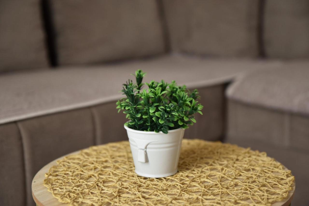 Apartments Kupi Ul Rudaj 41 울친 외부 사진